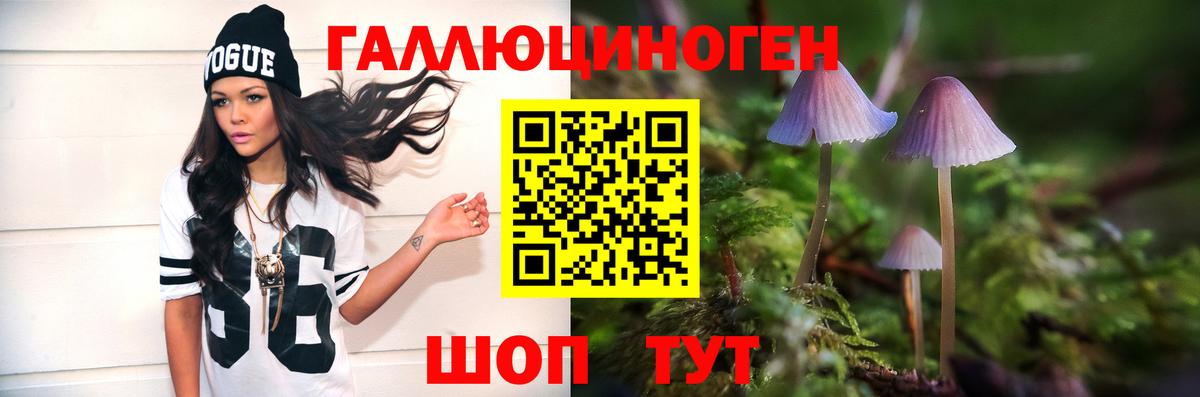 Галлюциногенные грибы мухоморы Донецк